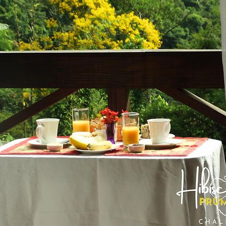 Hibiscus Prumirim Chales Ubatuba Εξωτερικό φωτογραφία