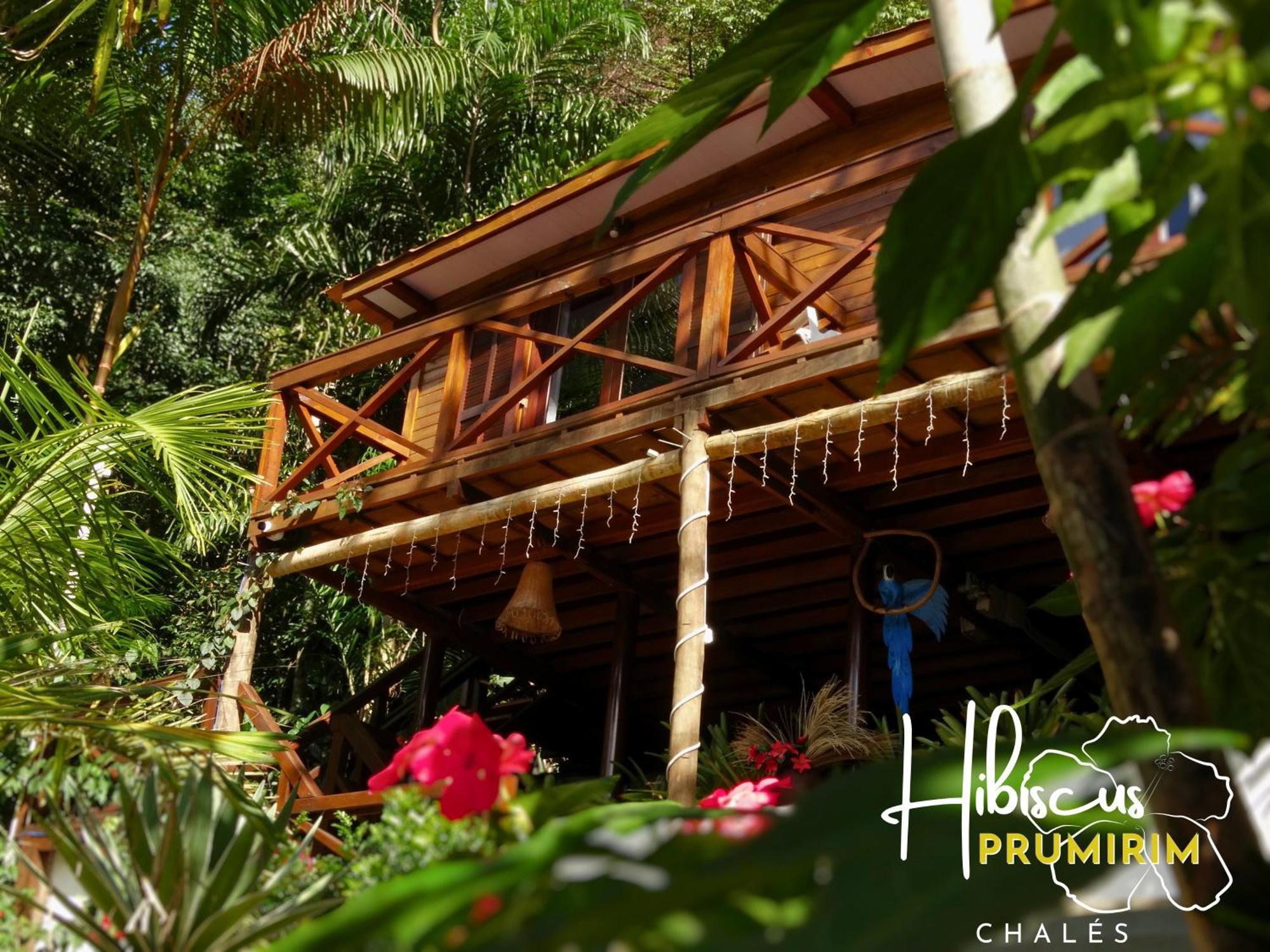 Hibiscus Prumirim Chales Ubatuba Εξωτερικό φωτογραφία